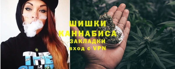 PSILOCYBIN Магас