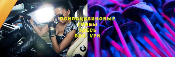 эйфоретик Мегион