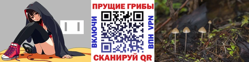Купить закладки  Апрелевка  Псилоцибиновые грибы Magic Shrooms 